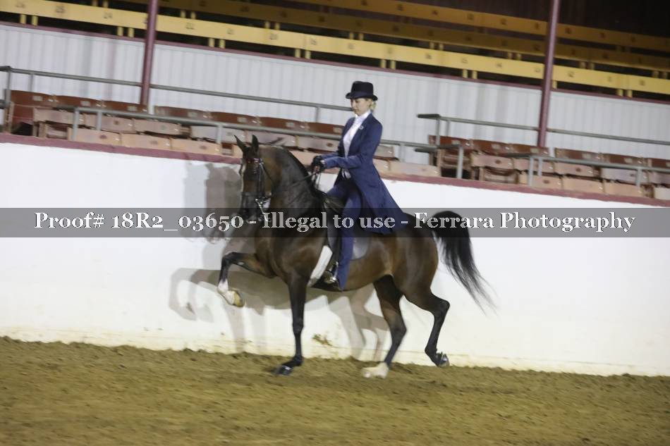 Proof 18R2_03650