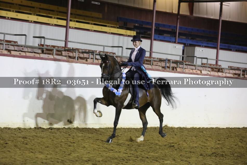Proof 18R2_03651