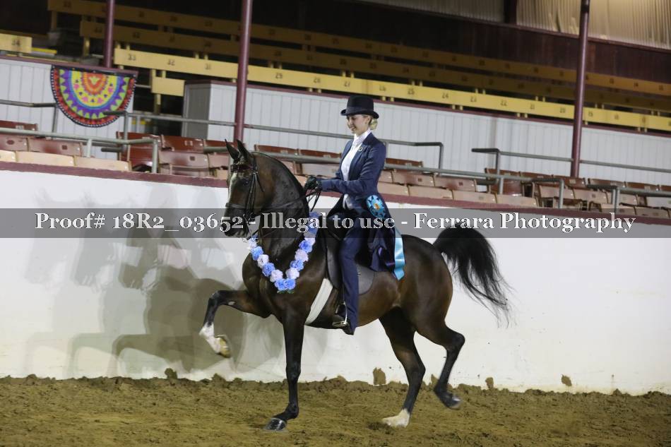 Proof 18R2_03652
