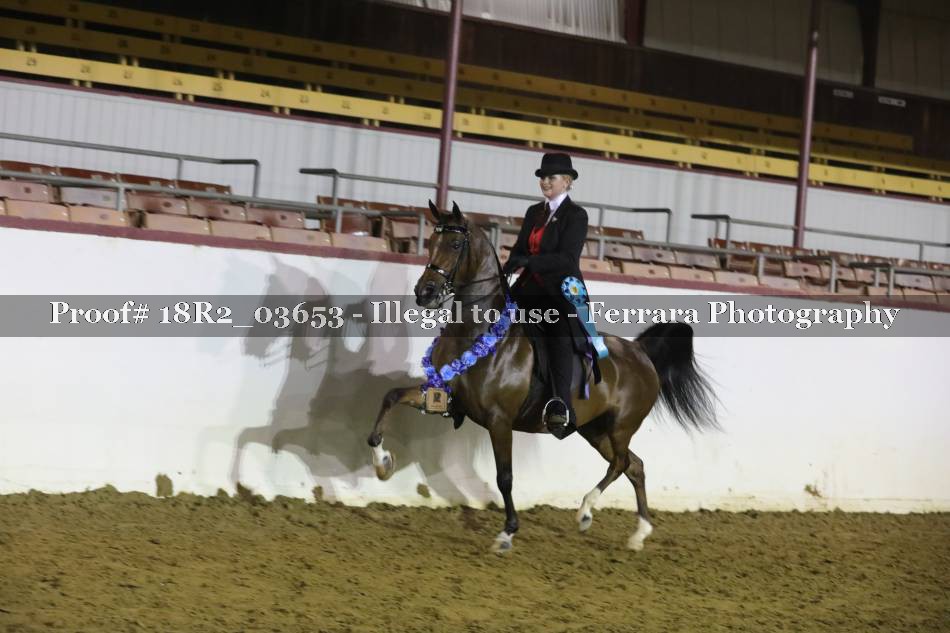 Proof 18R2_03653