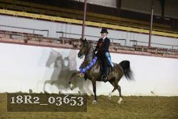 18R2_03653 proof