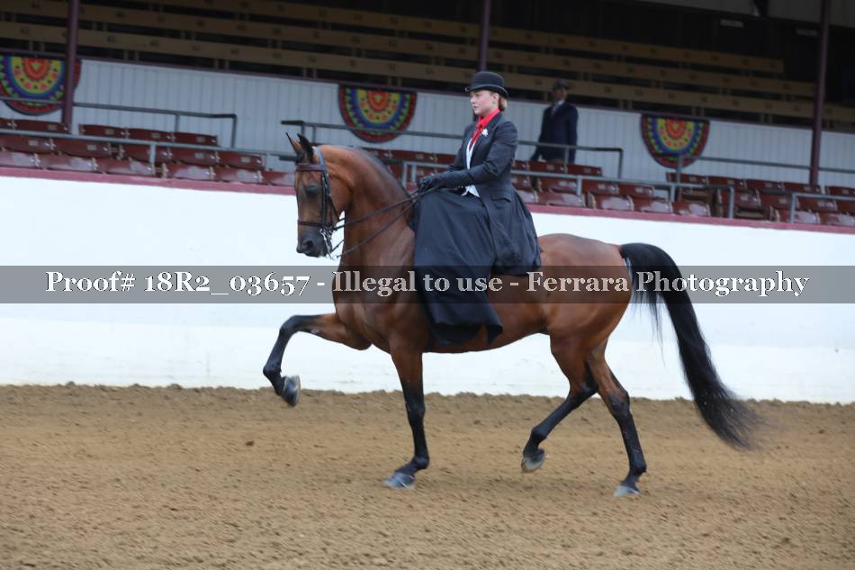 Proof 18R2_03657