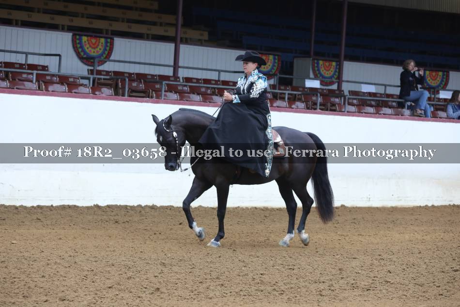 Proof 18R2_03658