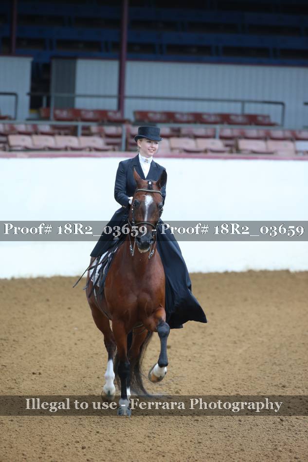 Proof 18R2_03659