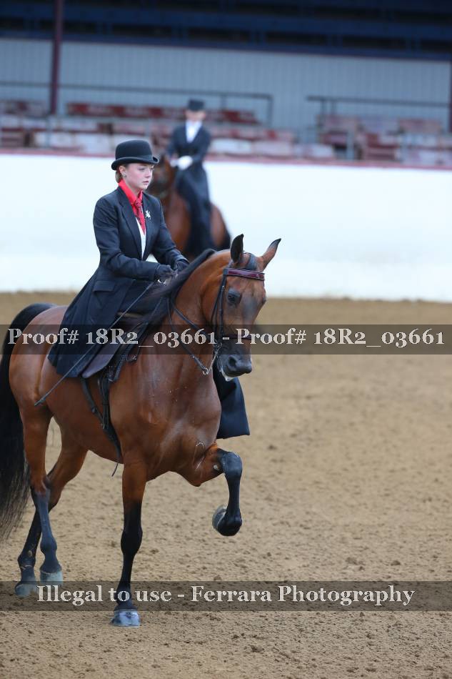 Proof 18R2_03661