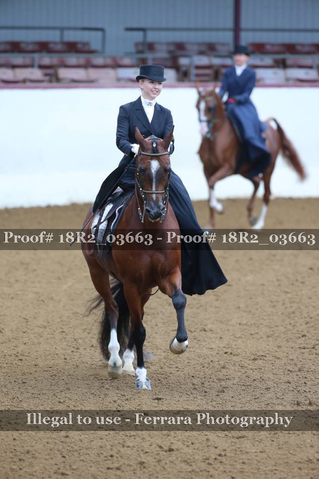 Proof 18R2_03663