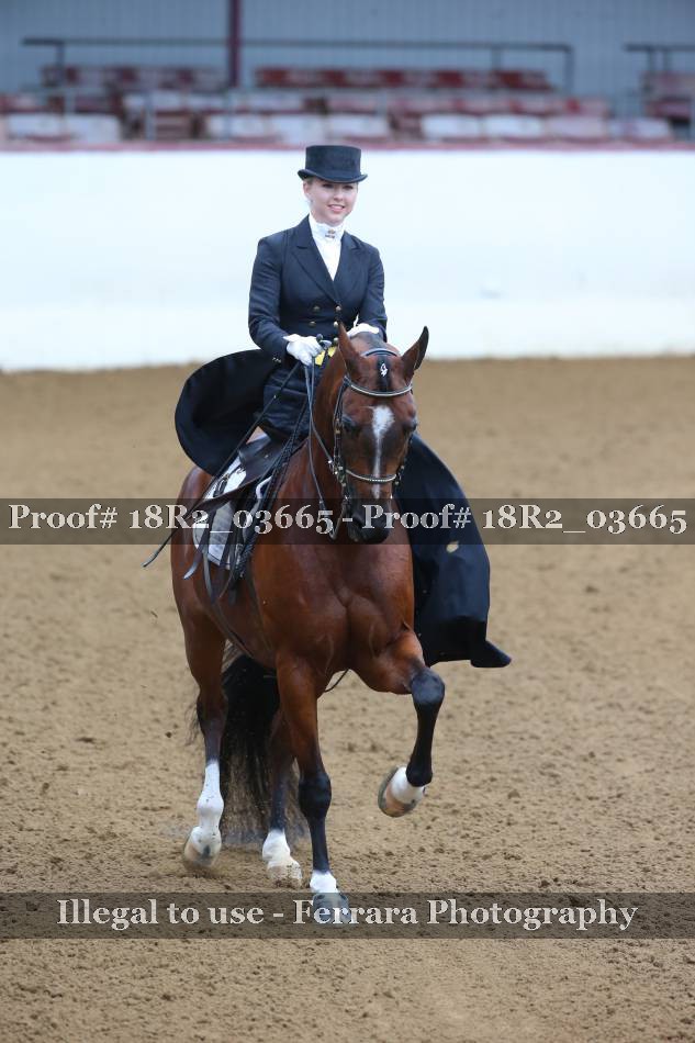 Proof 18R2_03665