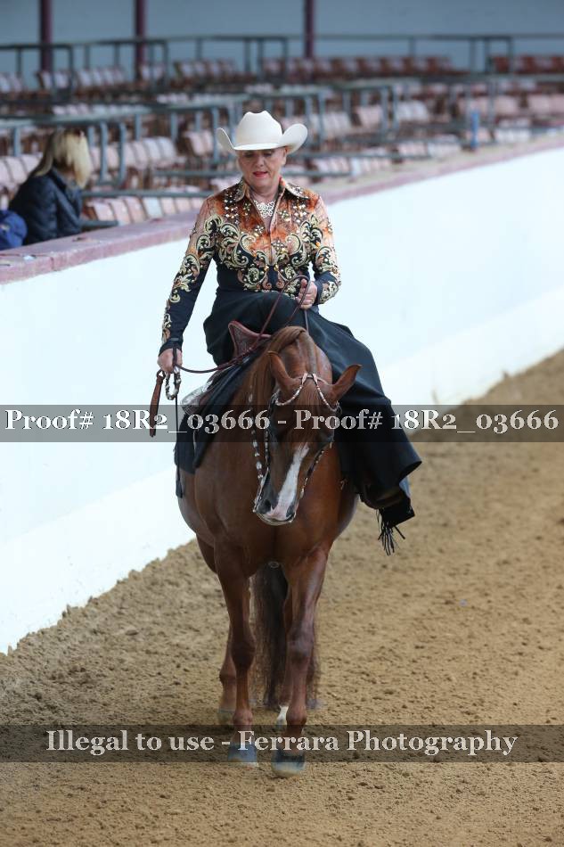 Proof 18R2_03666