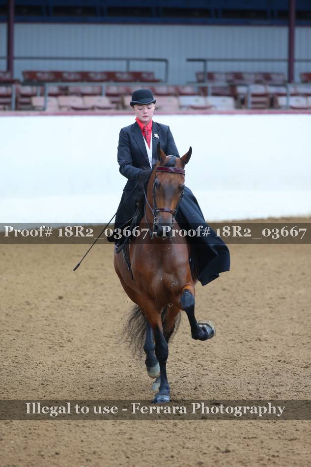 Proof 18R2_03667