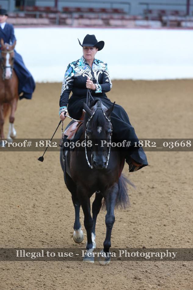 Proof 18R2_03668