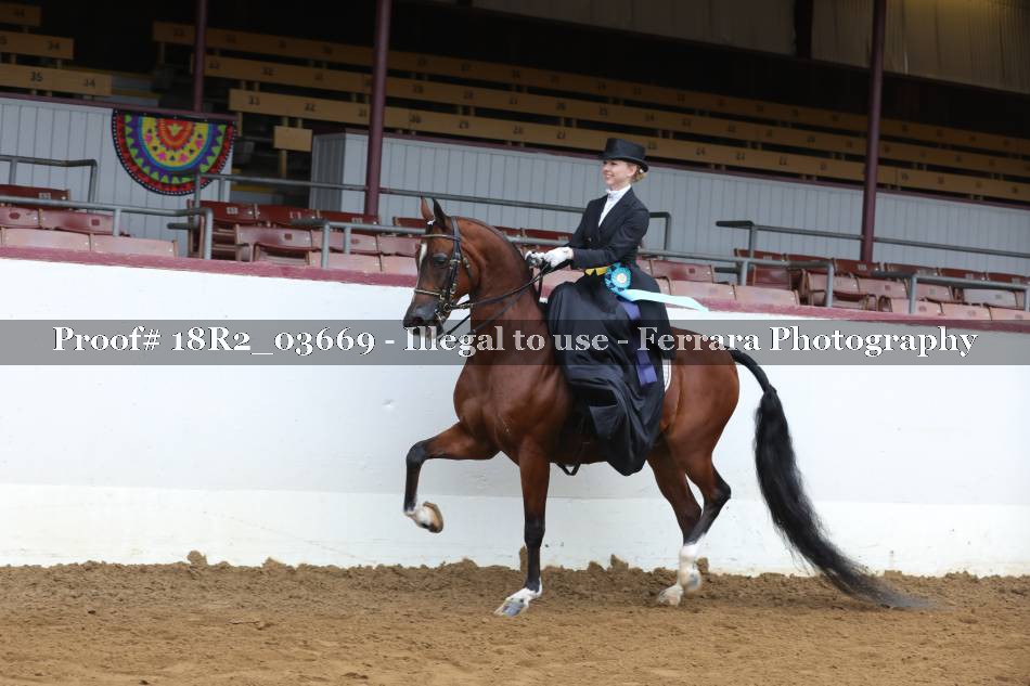 Proof 18R2_03669