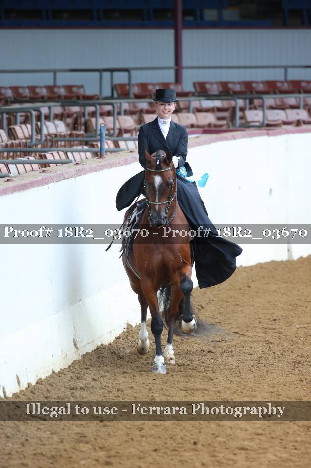 Proof 18R2_03670