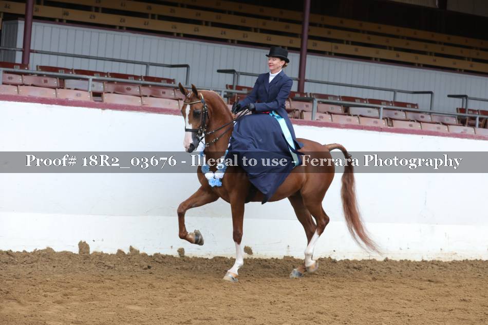 Proof 18R2_03676