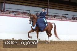 18R2_03676 proof