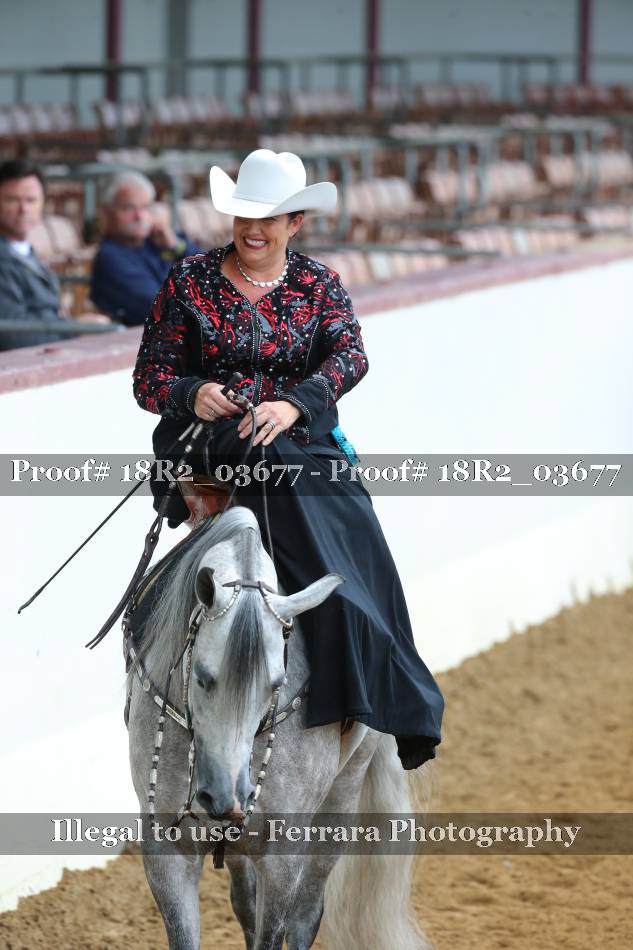 Proof 18R2_03677
