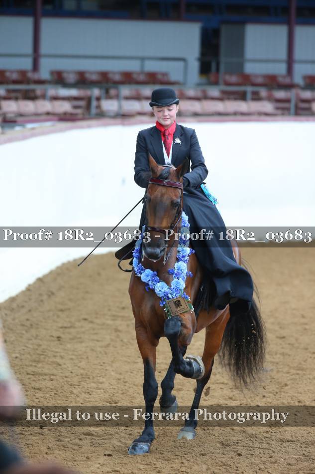 Proof 18R2_03683