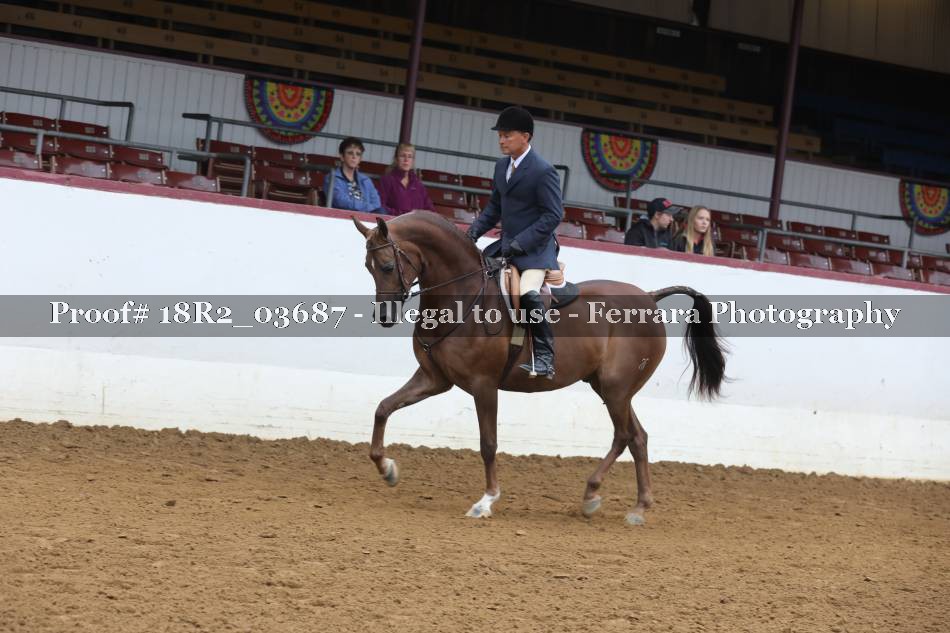 Proof 18R2_03687