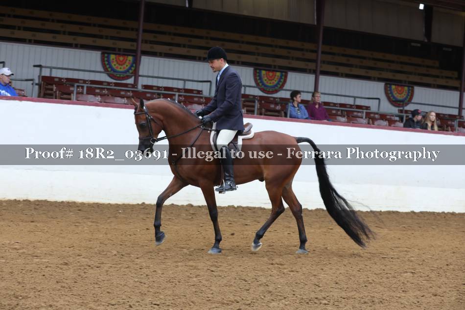 Proof 18R2_03691