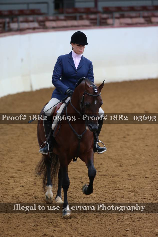 Proof 18R2_03693