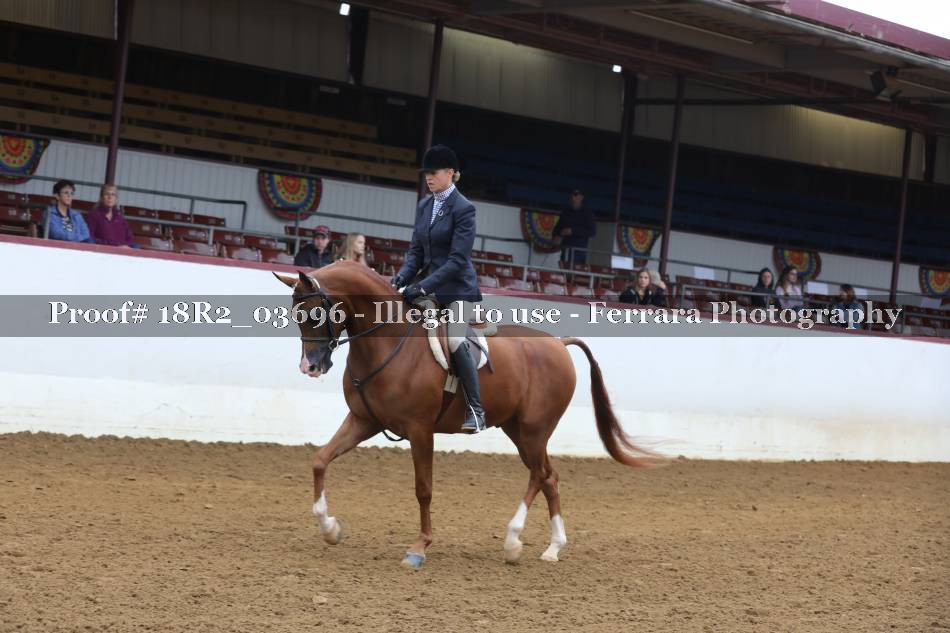 Proof 18R2_03696