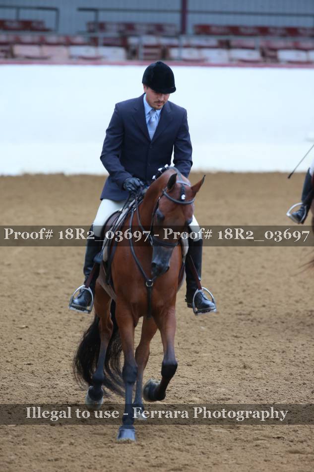 Proof 18R2_03697