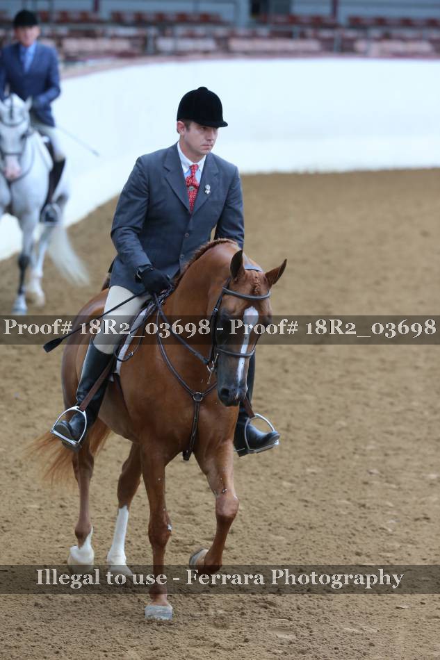 Proof 18R2_03698