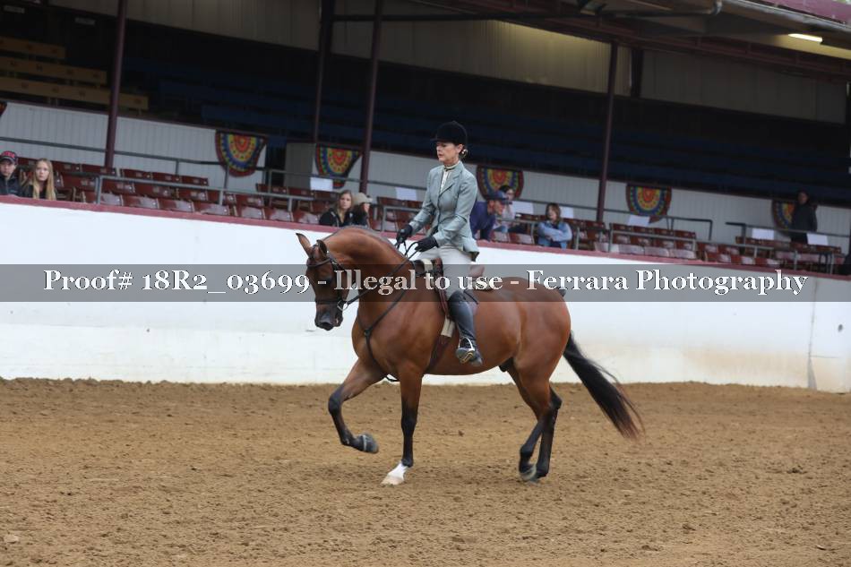 Proof 18R2_03699