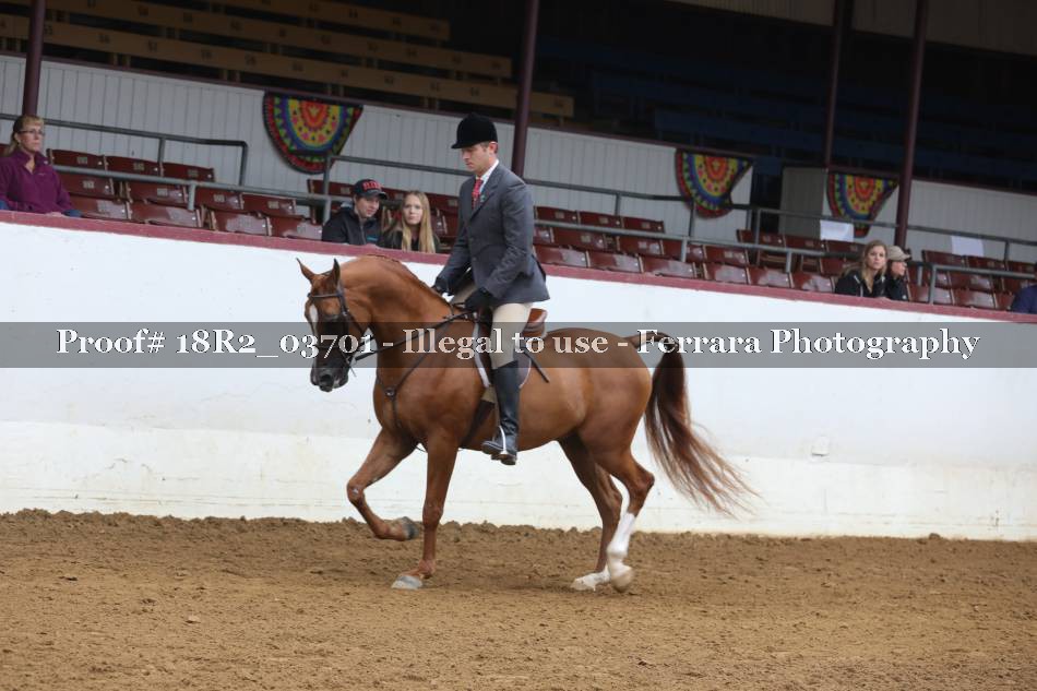Proof 18R2_03701