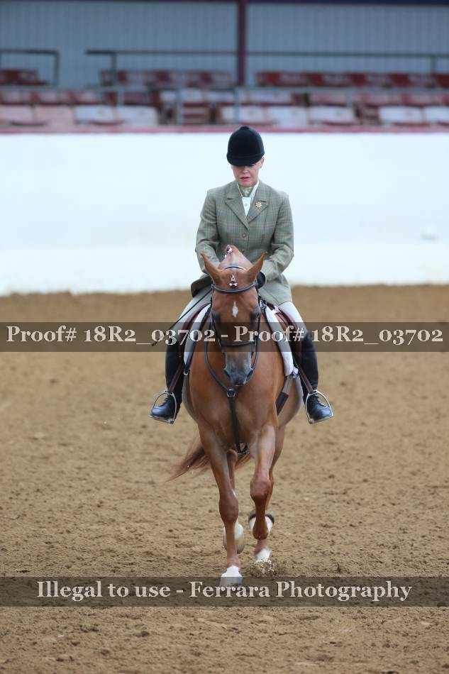Proof 18R2_03702