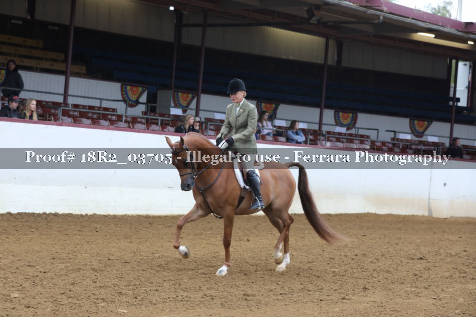 Proof 18R2_03705