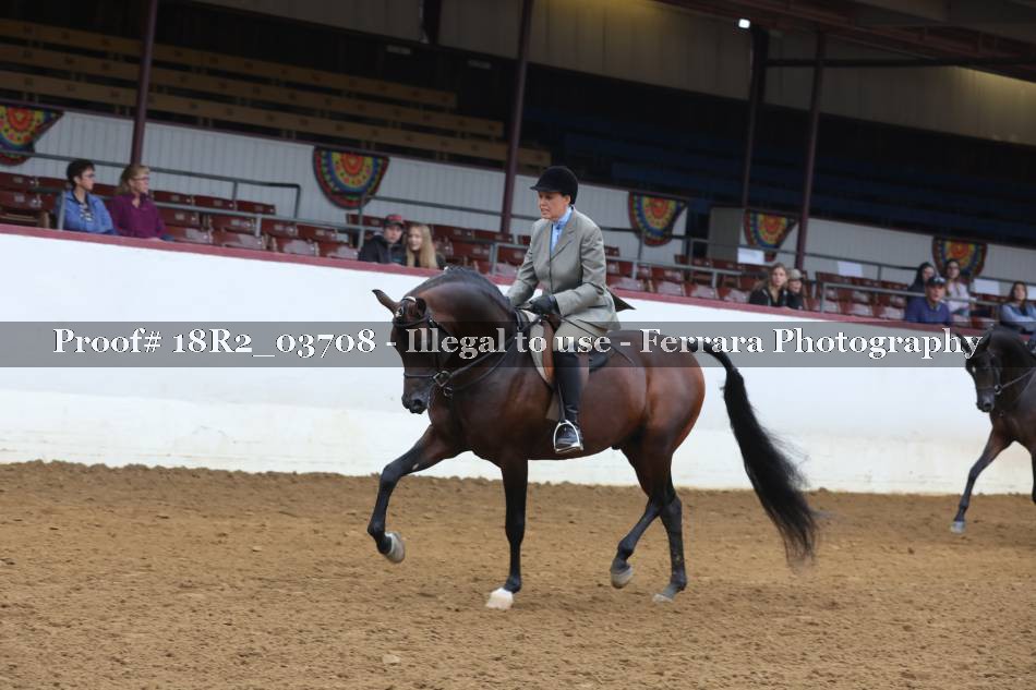 Proof 18R2_03708