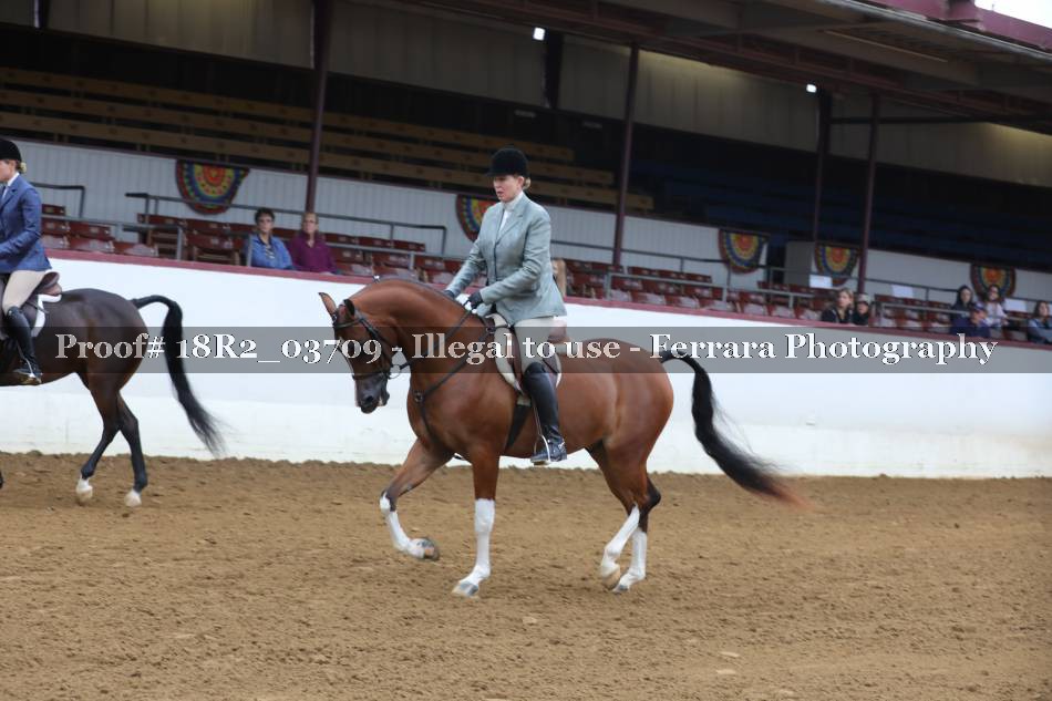 Proof 18R2_03709