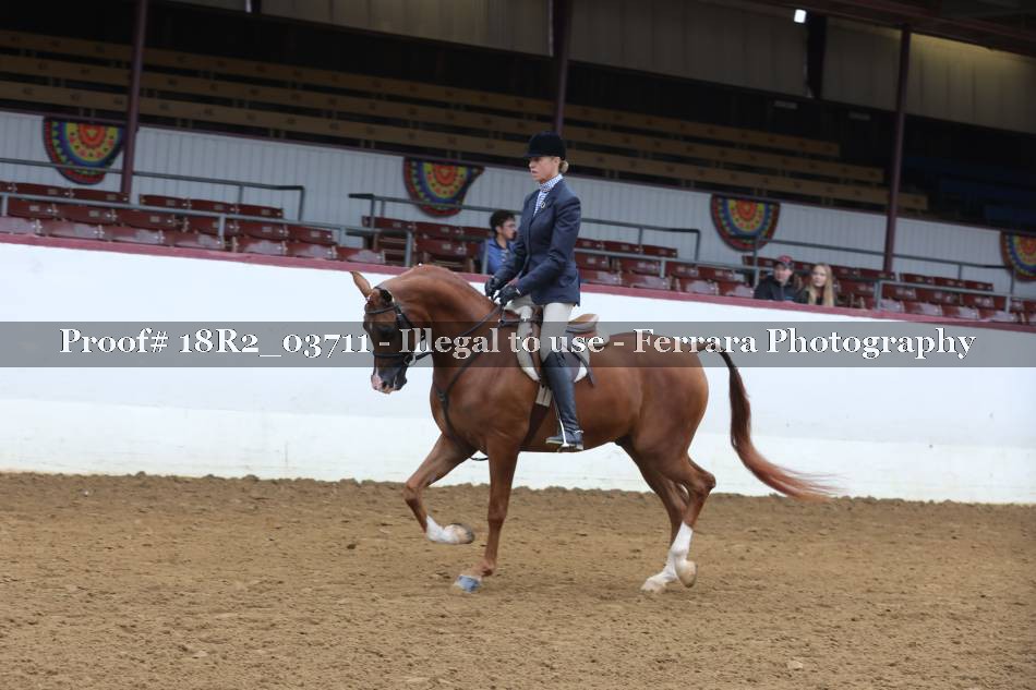 Proof 18R2_03711