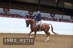 18R2_03711 proof