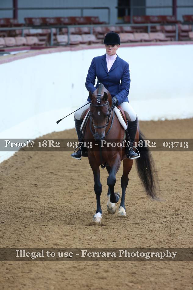 Proof 18R2_03713