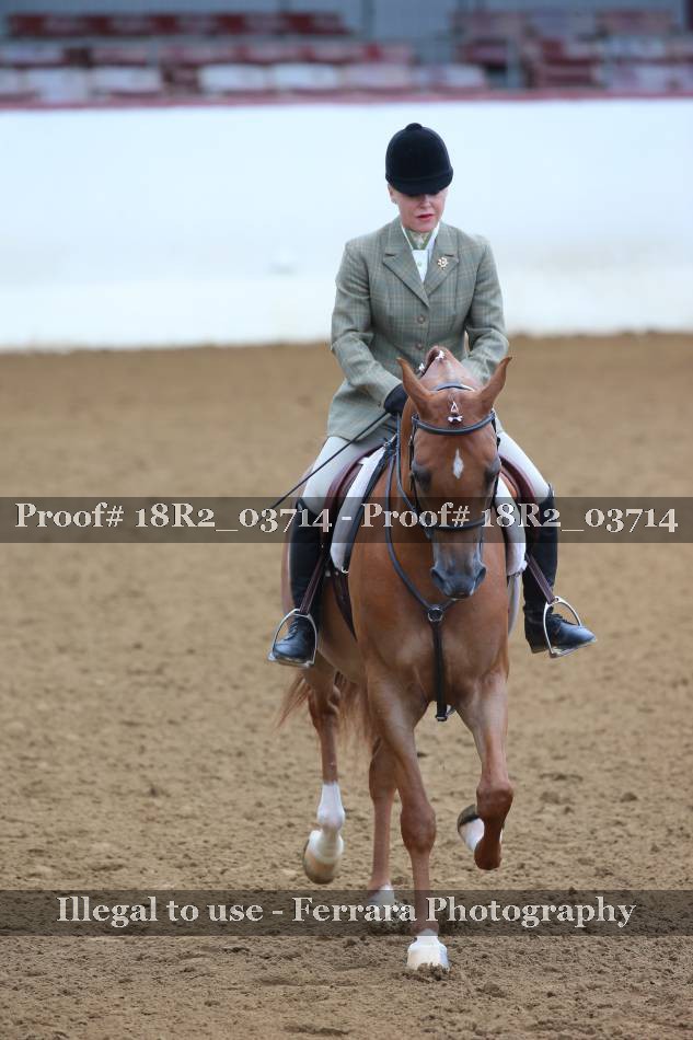 Proof 18R2_03714