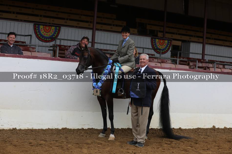 Proof 18R2_03718