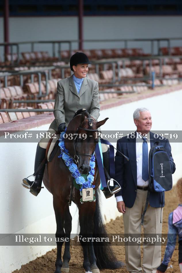 Proof 18R2_03719