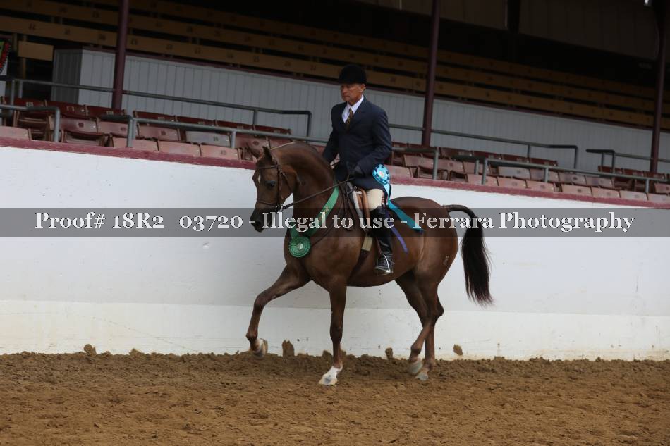 Proof 18R2_03720