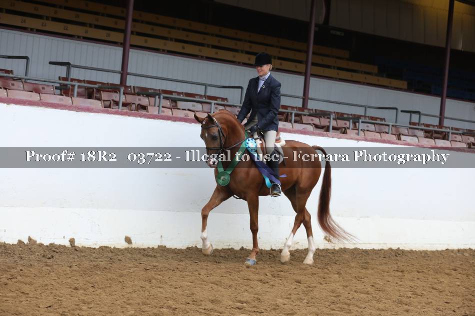 Proof 18R2_03722
