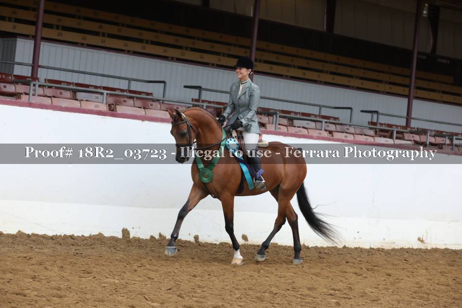 Proof 18R2_03723