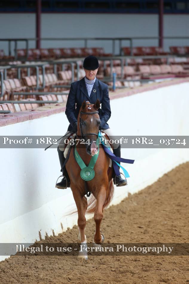 Proof 18R2_03724