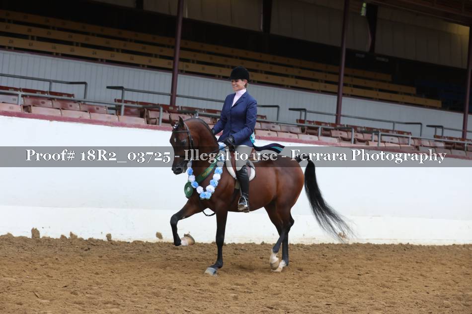 Proof 18R2_03725