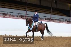 18R2_03725 proof