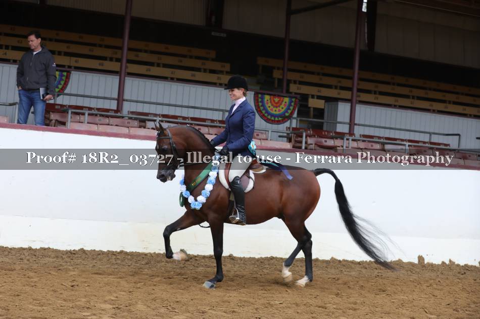 Proof 18R2_03727