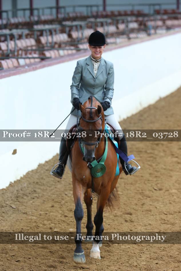 Proof 18R2_03728