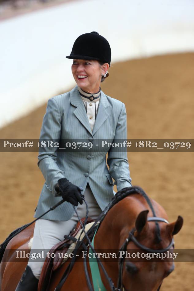 Proof 18R2_03729