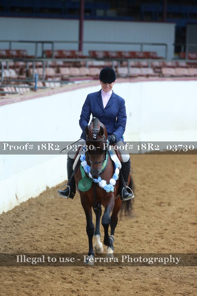 Proof 18R2_03730