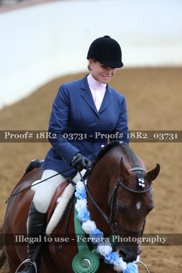 Proof 18R2_03731