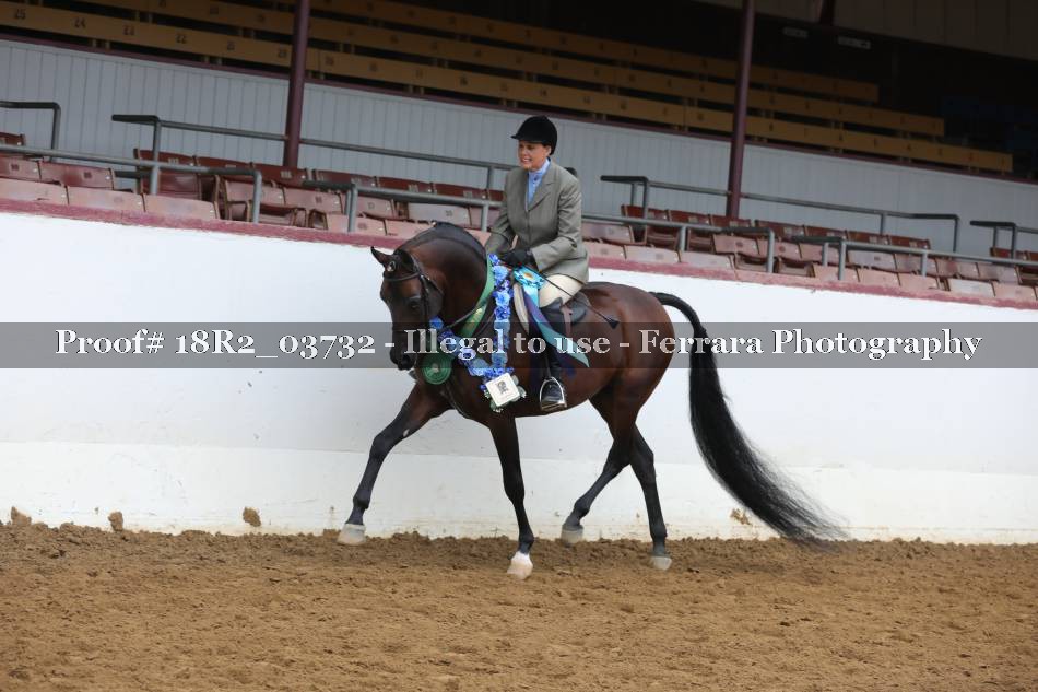 Proof 18R2_03732